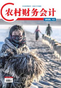農村財務會計（2020年第12期）