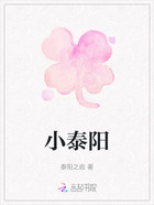 小泰陽在線閱讀