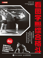 看图学MMA综合格斗