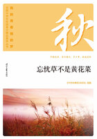 “我的青春我的梦”全国中学生校园美文精品集萃丛书:忘忧草不是黄花菜在线阅读