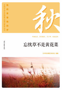 “我的青春我的夢”全國中學生校園美文精品集萃叢書:忘憂草不是黃花菜
