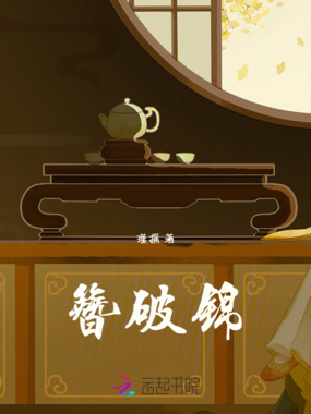 簪破锦在线阅读