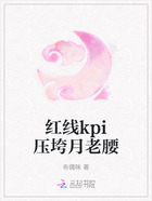红线kpi压垮月老腰在线阅读