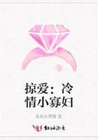 掠愛：冷情小寡婦在線閱讀