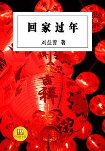 回家過年（中國好小說）