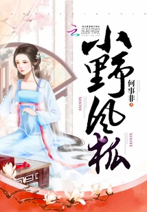 小野風狐