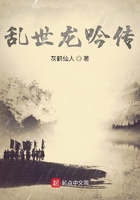 乱世龙吟传在线阅读