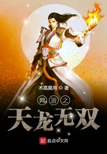 網游之天龍無雙