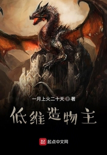 低维造物主 cover