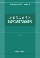 新时代民族地区经济发展实证研究在线阅读