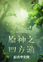 原神之四方游