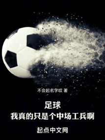 足球:我真的只是个中场工兵啊!