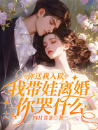 你送我入狱,我带娃离婚你哭什么在线阅读