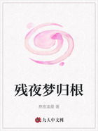 残夜梦归根在线阅读