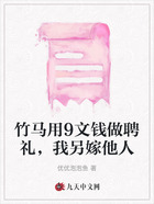 竹马用9文钱做聘礼,我另嫁他人在线阅读