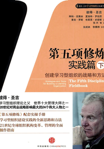 第五項修煉：實踐篇（下）