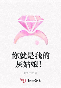 你就是我的灰姑娘!