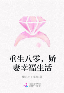重生八零，嬌妻幸福生活