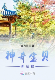 神奇寶貝新征程