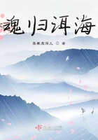 魂归洱海在线阅读