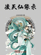 凌天仙缘录