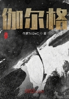 伽尔格在线阅读