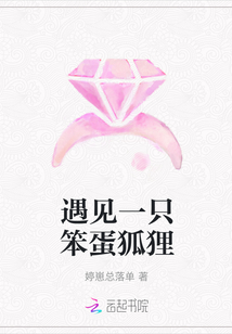 遇見一只笨蛋狐貍