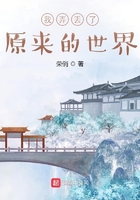 我弄丢了原来的世界在线阅读