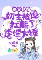 撩完就跑!奶宝被迫扛起了虐渣大锤在线阅读