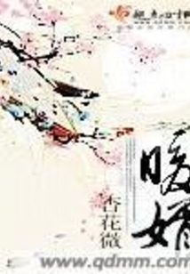 暖婿