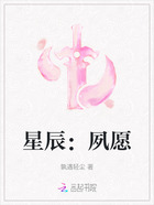 星辰:夙愿在线阅读