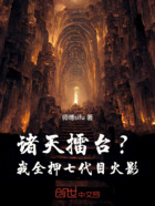 诸天擂台?我全押七代目火影!在线阅读