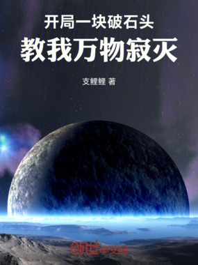 开局一块破石头，教我万物寂灭在线阅读
