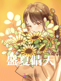 盛夏晴天