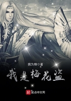 我是梅花盜在線閱讀