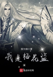 我是梅花盜