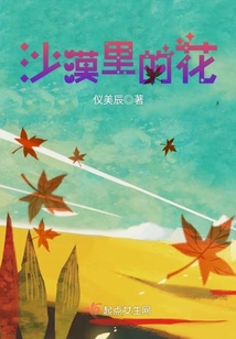 沙漠里的花