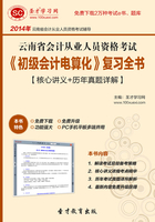 云南省会计从业人员资格考试《初级会计电算化》复习全书【核心讲义＋历年真题详解】在线阅读