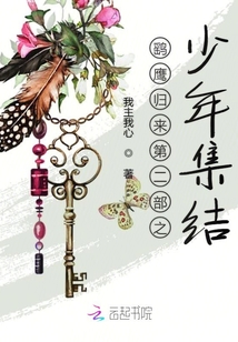 鷂鷹歸來第二部之少年集結(jié)