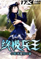 终极兵王在线阅读