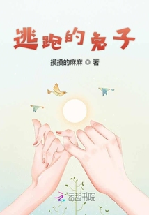 逃跑的兔子