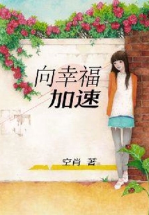 向幸福加速