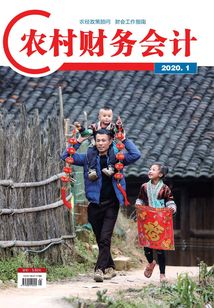農村財務會計（2020年第1期）