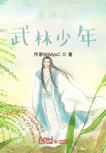 穿越之武林少年