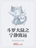斗罗大陆之宁静致远在线阅读