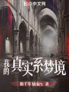 我的真實系夢境在線閱讀