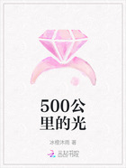 500公里的光在线阅读