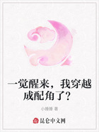 一觉醒来,我穿越成配角了?在线阅读