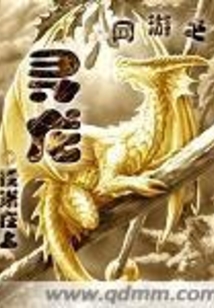 網游之尋龍