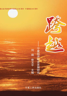 跨越：寧夏經濟社會發展研究